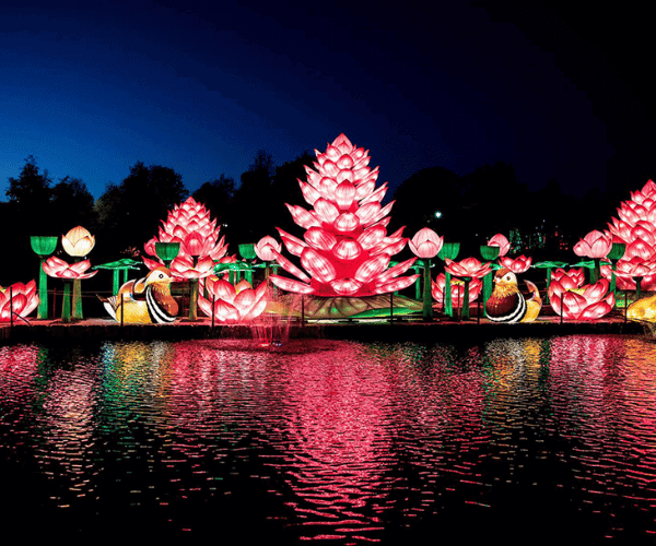 2025.11.11 - Christmas Attraction - Wild Lights at Dublin Zoo 2025.11.11 - Christmas Attraction - Wild Lights at Dublin Zoo