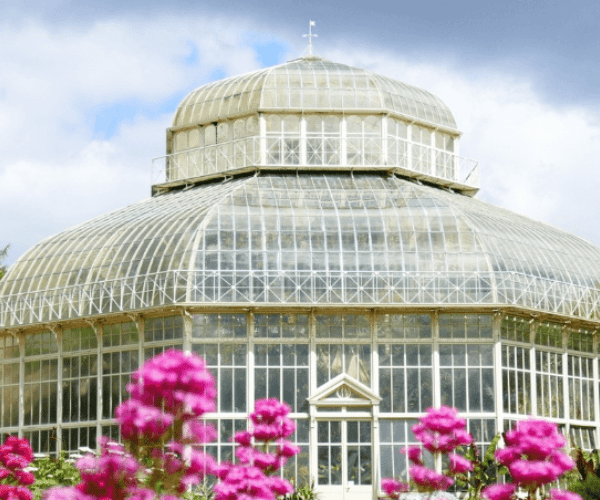 2026.02.05 - Hidden Gems Dublin - National Botanic Gardens 