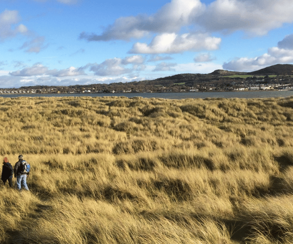 2026.02.05 - Hidden Gems Dublin - North Bull Island 
