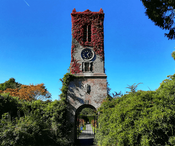 2026.02.05 - Hidden Gems Dublin - St. Annes Park 