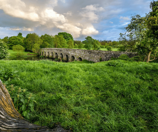 2026.03.07 - DayTrip - Newgrange & The Boyne Valley (3) 
