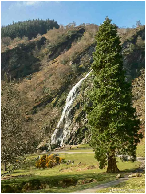 2026.05.21 - Powerscourt Waterfall 2026.05.21 - Powerscourt Waterfall