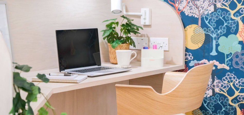 Office Desk with a laptop, notebook, coffee mug, and plants on it